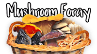 mushrooms in a basket with the words mushroom fogy